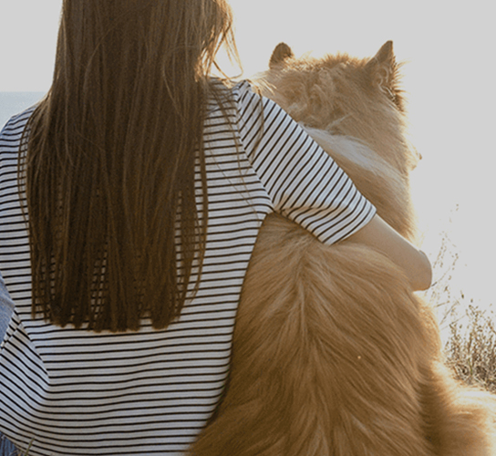 Philosophie et valeurs